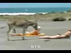 Strada rocciosa donne pelose lesbiche
